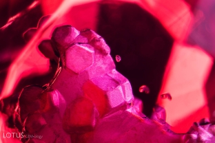 Large angular cavities are filled with a white substance in a red spinel. Specimen courtesy Global Spinel Gems.