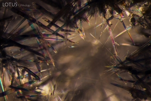 Dense, spiky dumortierite inclusions in quartz display a rainbow of interference colors when examined in crossed polars.