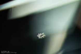 This small inclusion in glass is reminiscent of a snowflake. Micro Raman identified it as pseudowollastonite.