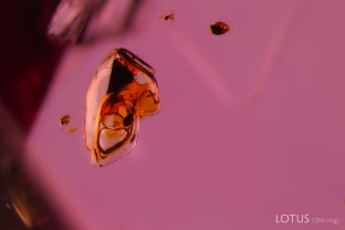 Fluid inclusions like these are typically found in spinel from Burma. The yellowish cavity is likely filled with a sulfur rich liquid.