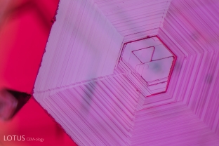 Not all synthetic rubies have curved growth zoning. This Ramaura flux synthetic shows angular growth markings on its surface. Specimen courtesy Nicolas Francfort.